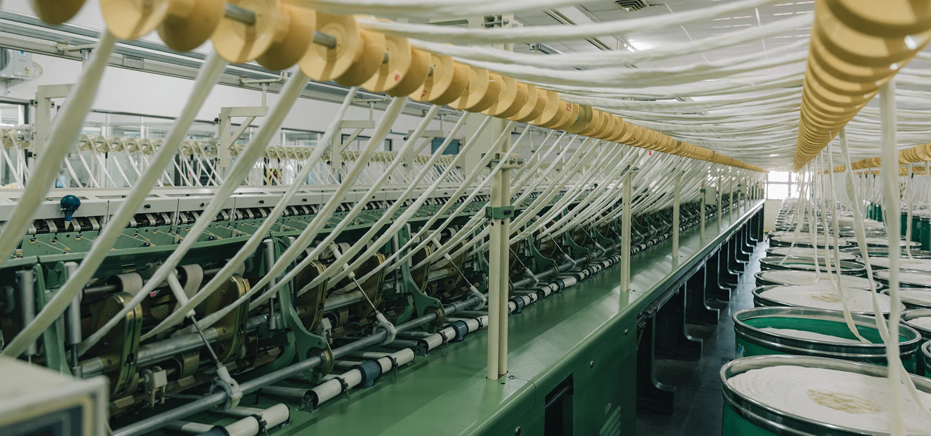 Banner_0000_DSC07672